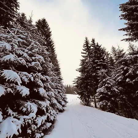 Am Teich Familie Gaenser Сasa de vacaciones Feistritz am Kammersberg
