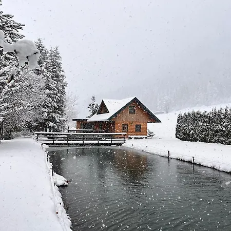 Am Teich Familie Gaenser