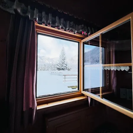 Am Teich Familie Gaenser Feistritz am Kammersberg