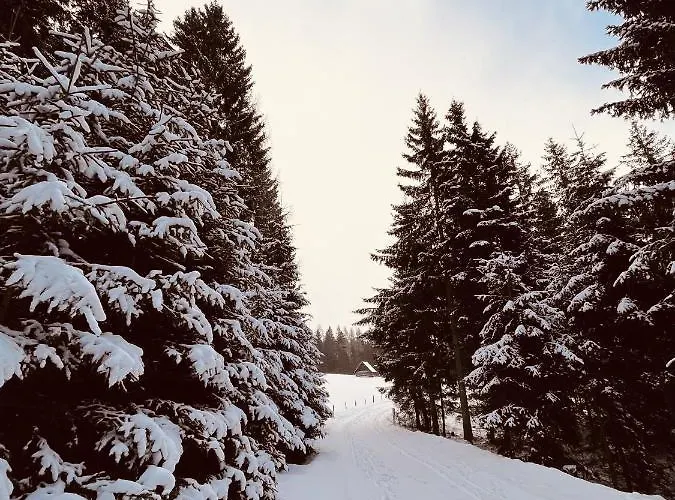 Am Teich Familie Gaenser 度假居 Feistritz am Kammersberg
