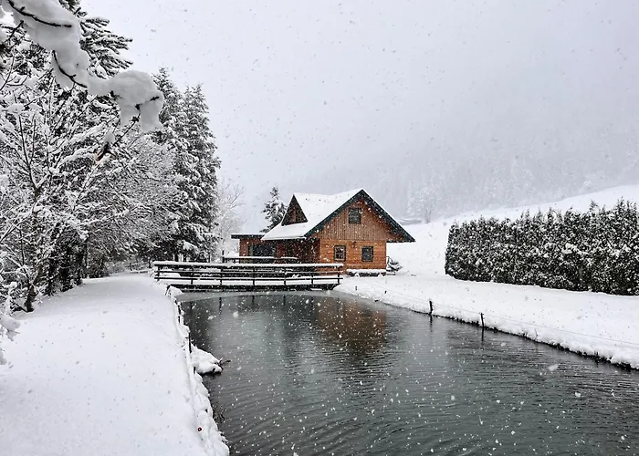 Am Teich Familie Gaenser