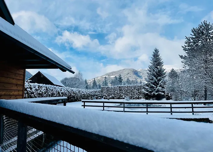 Am Teich Familie Gaenser *