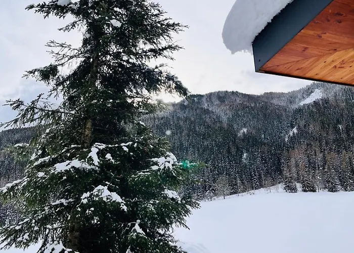 Am Teich Familie Gaenser 度假居